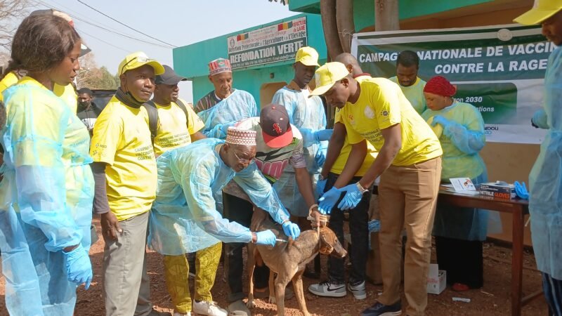 Plus de 27000 doses de Vaccins alloués à la région de Labé pour la Campagne de Vaccination contre la Rage